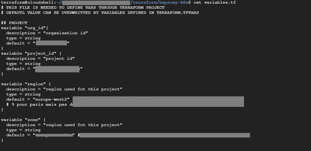 Résultat de la commande d'affichage dans le terminal du fichier variables.tf.