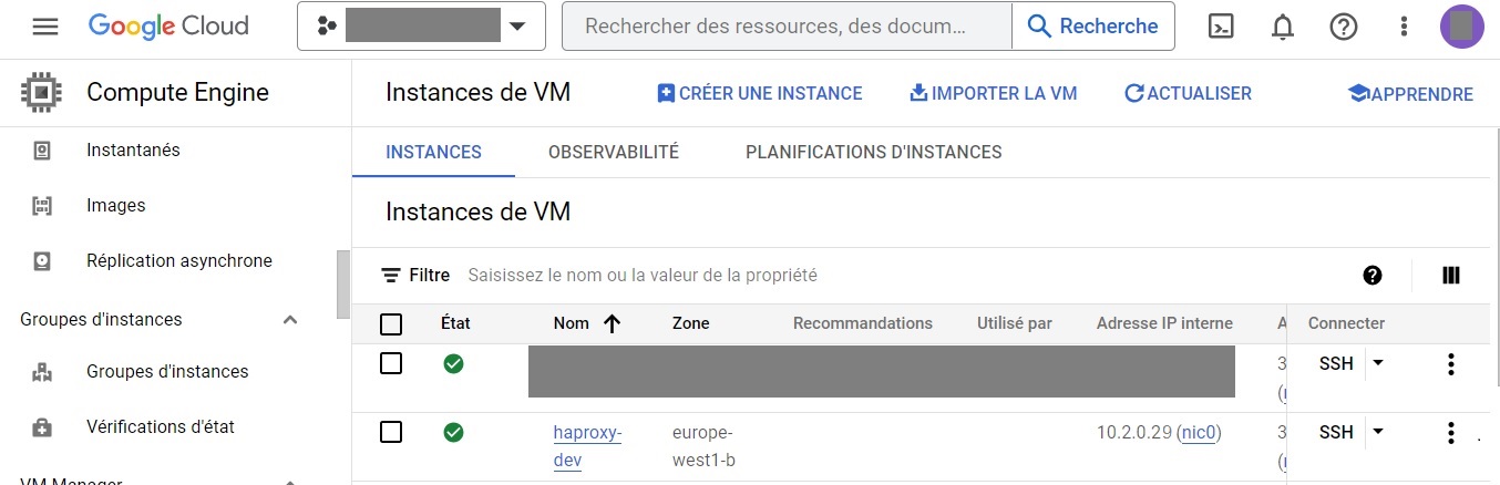 Capture d'écran de la vm crée sur GCP.